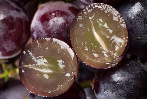 origen uva sin semilla