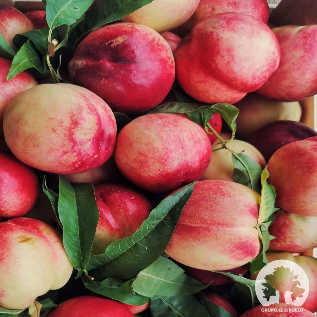 propiedades-beneficios-nectarina