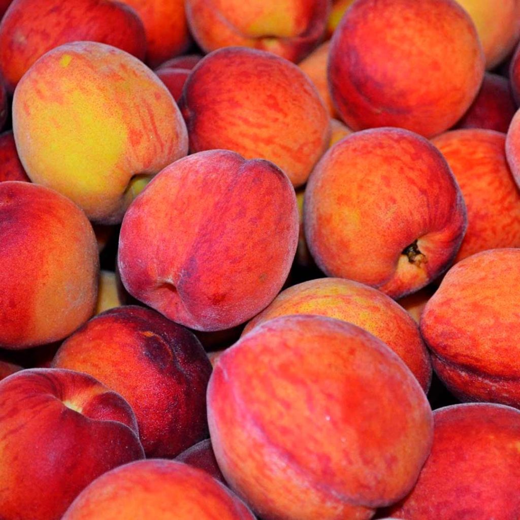 las-nectarinas-engordan