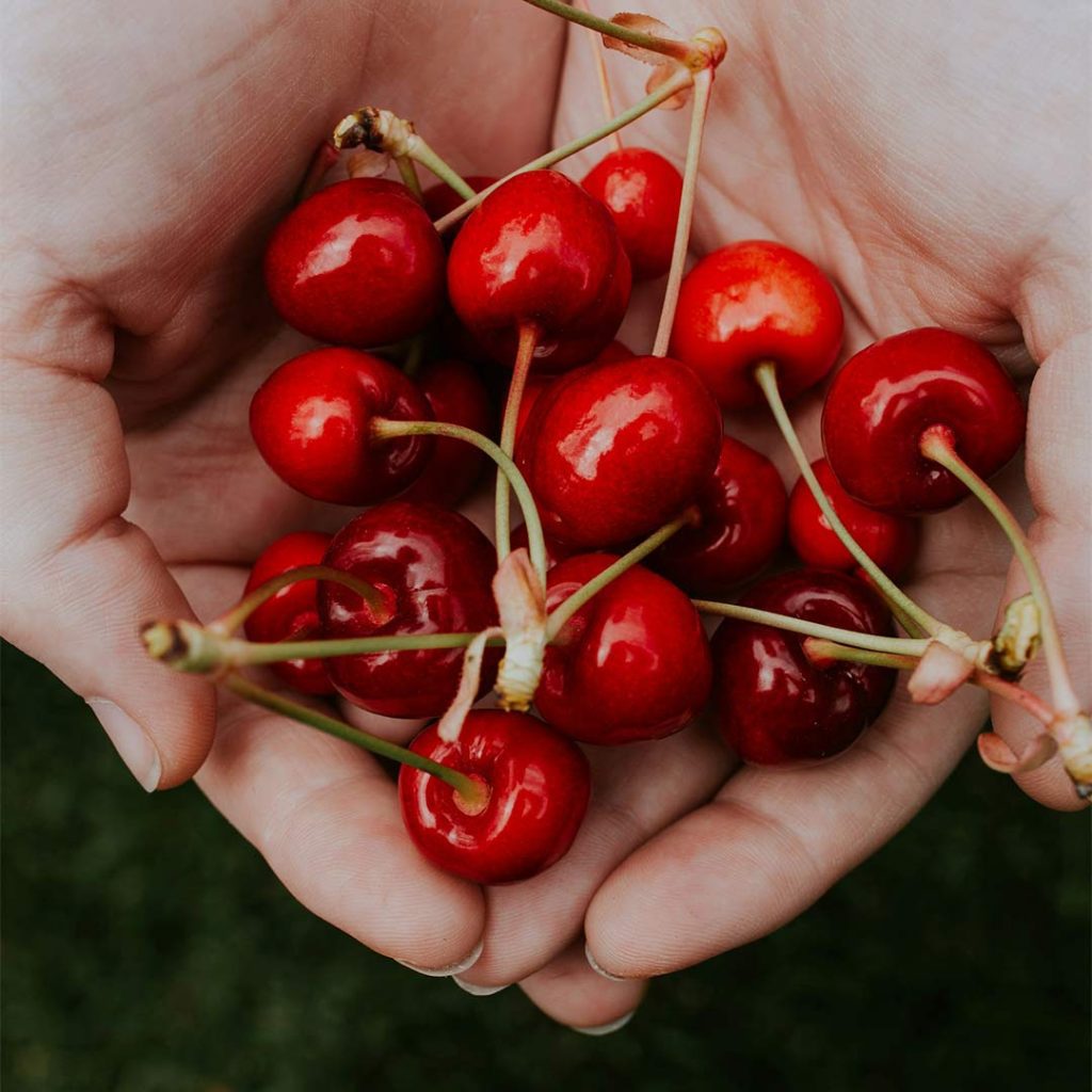 cerezas-en-embarazo-beneficios-precauciones-saludables