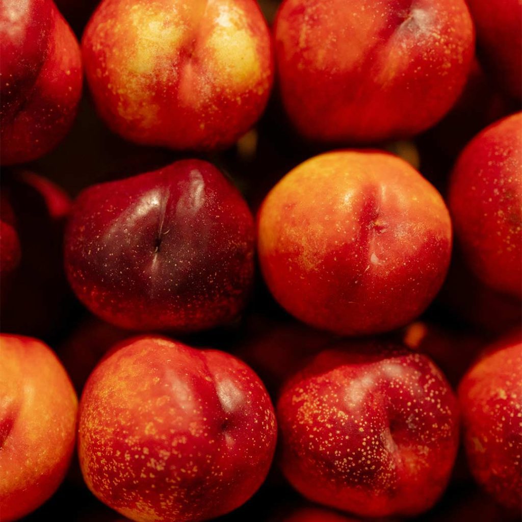 tipos-variedades-nectarina