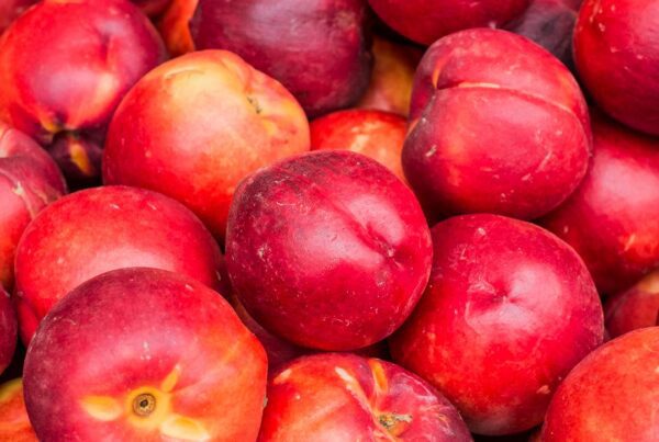 calorias-nectarina