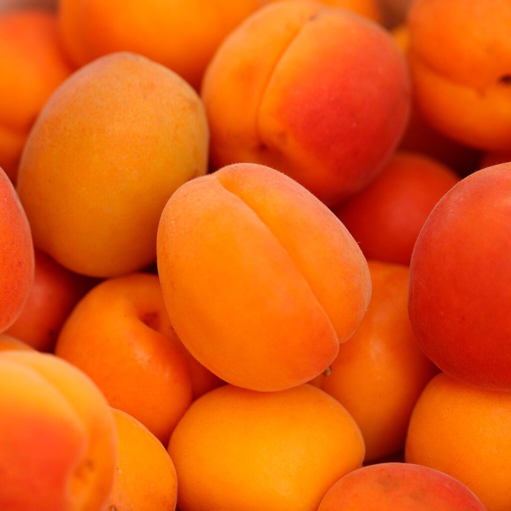 los-albaricoques-estriñen