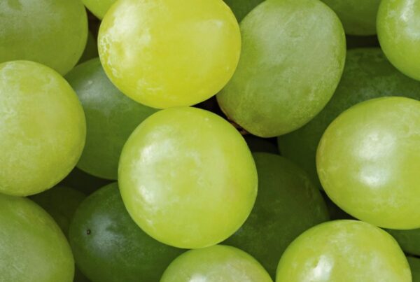 uvas-y-queso-saben-a-beso