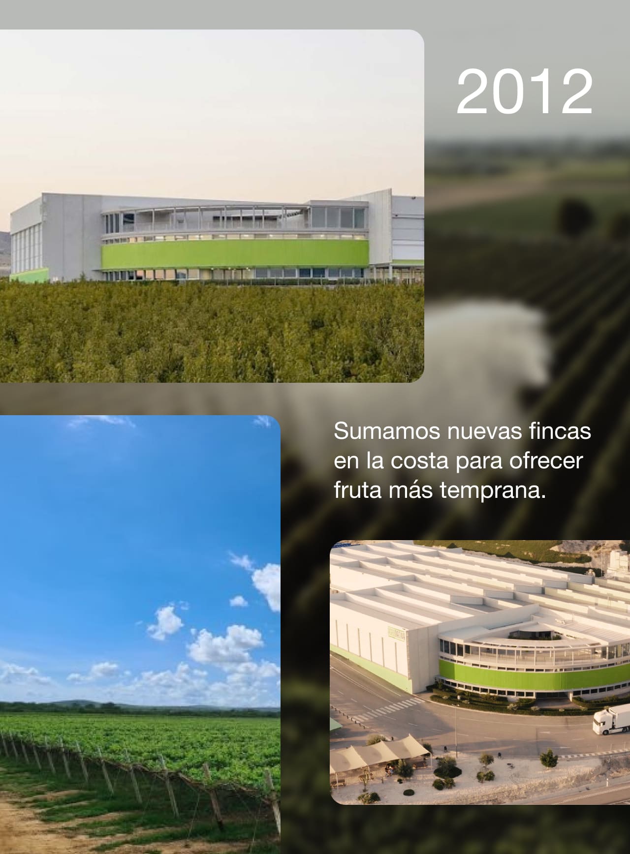 Card Historia-1