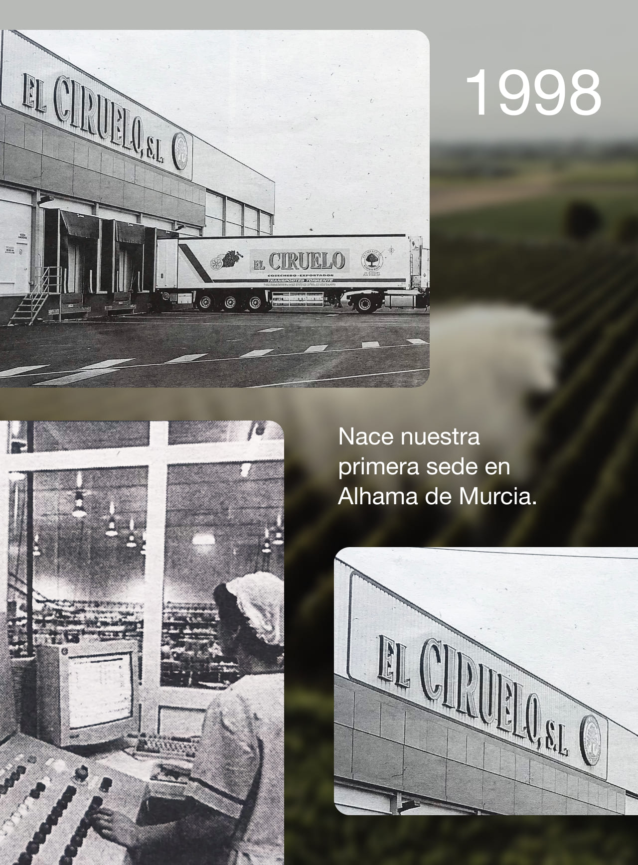 Card Historia-2