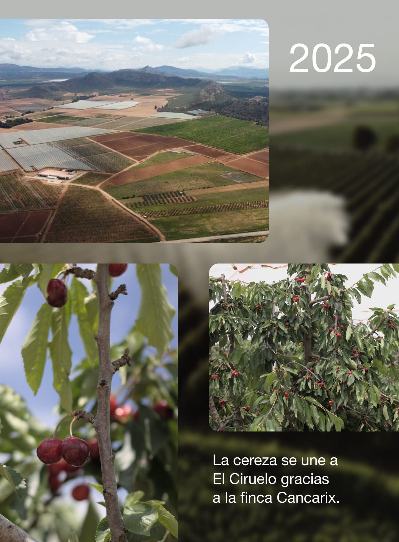Card Historia-6