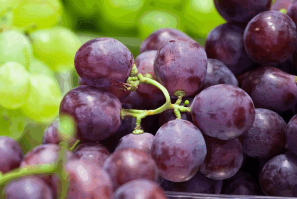 Benefícios da uva para a saúde da mulher, hormônios e pele