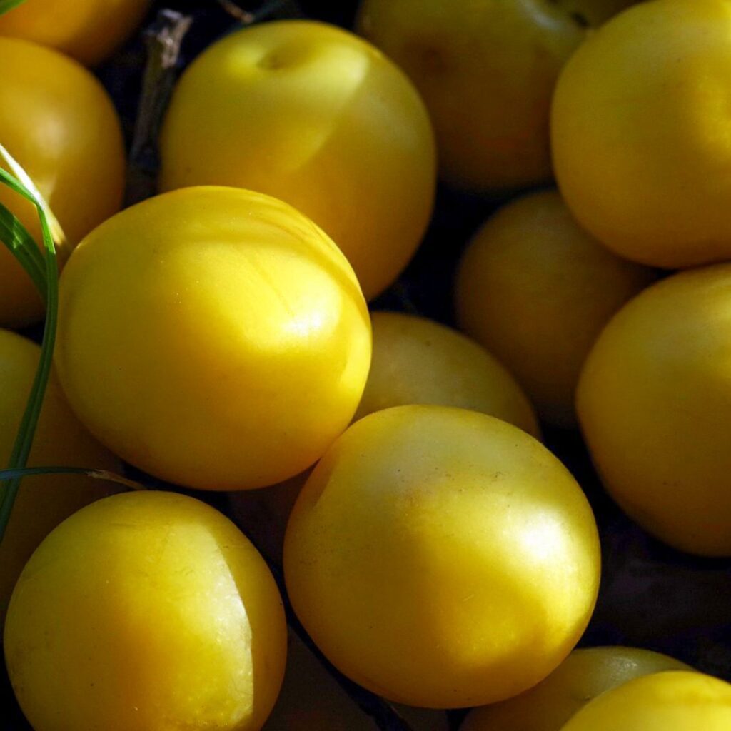 ciruela-amarilla-propiedades-origen-beneficios