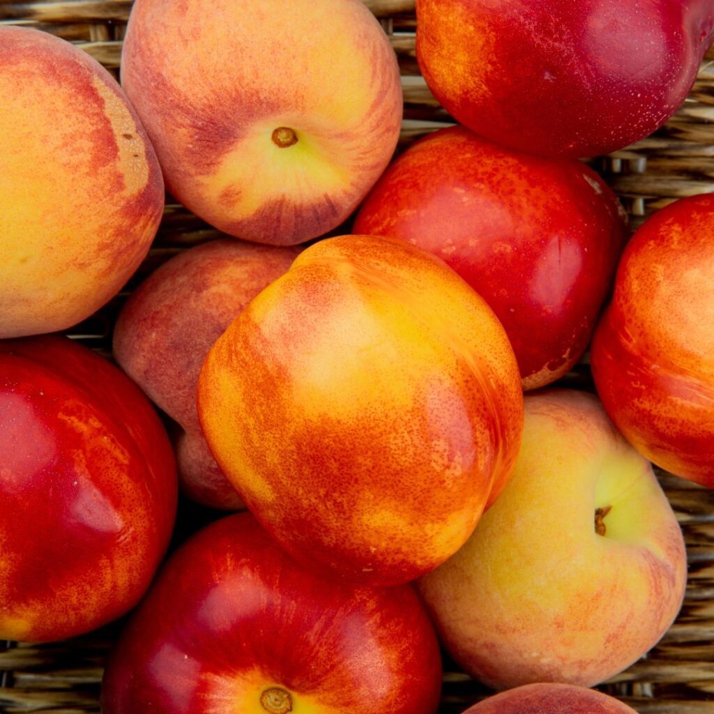 diferencia-melocoton-nectarina