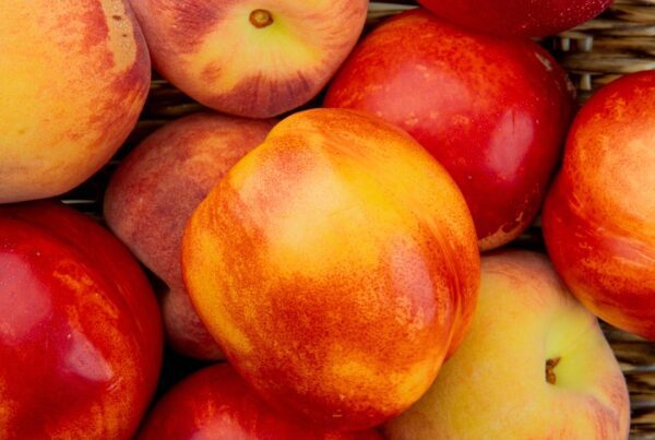 diferencia-melocoton-nectarina